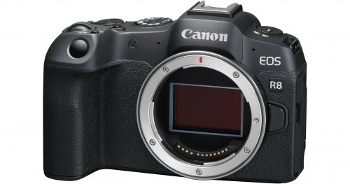 Canon EOS R8 Body Only